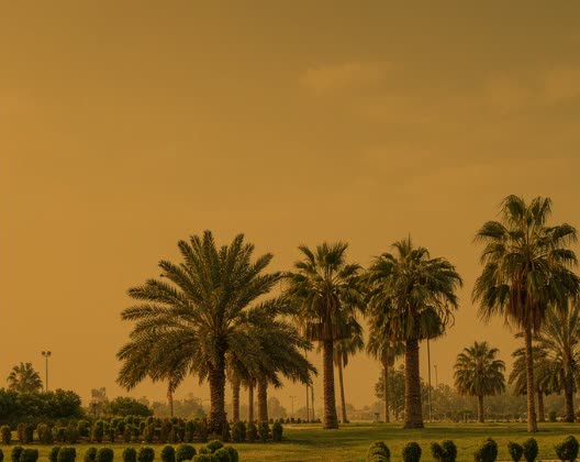 Bayan Botanical
