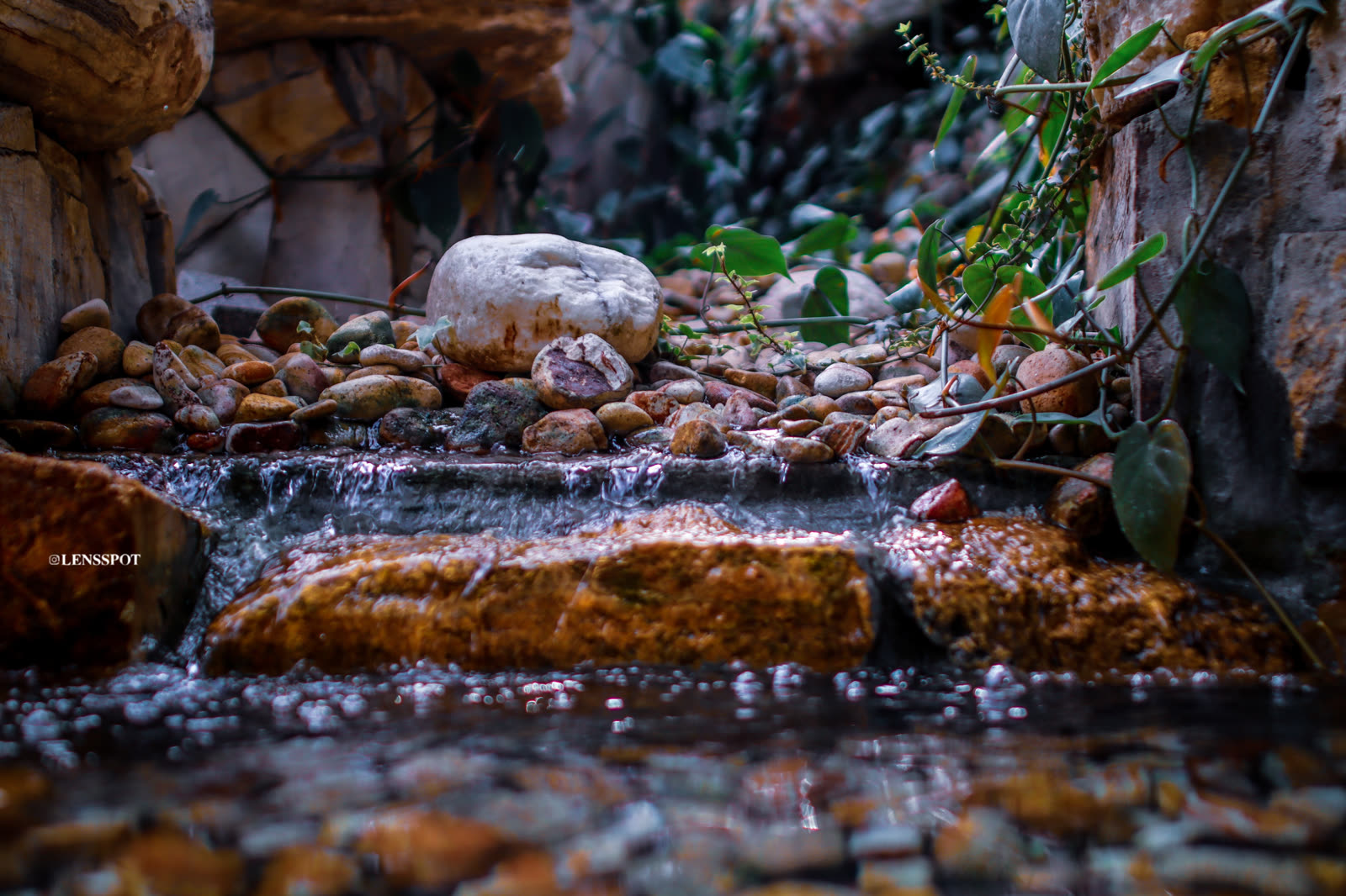 Rock water feature inside the botanical garden