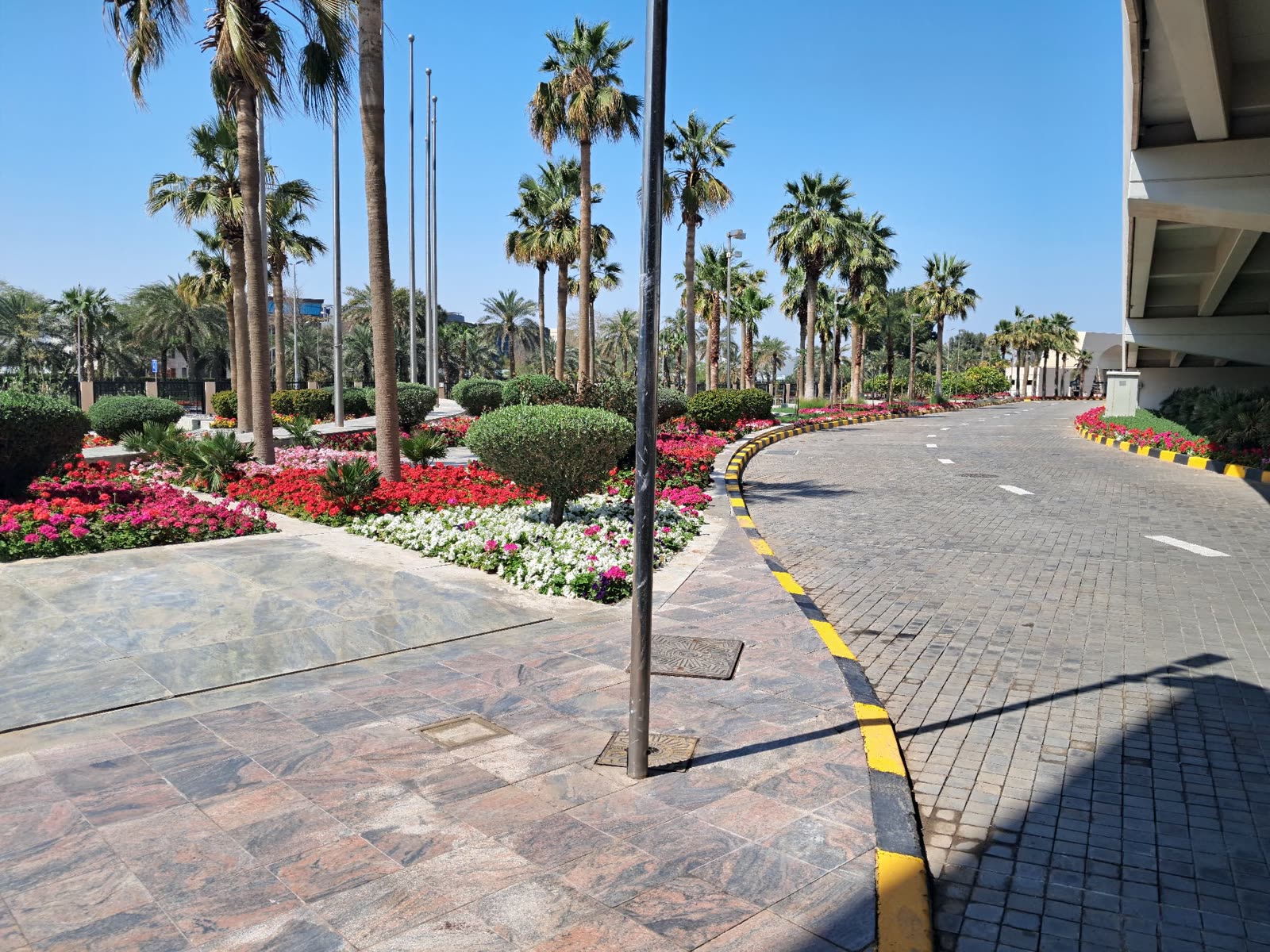 Palm-lined ceremonial drive with seasonal beds