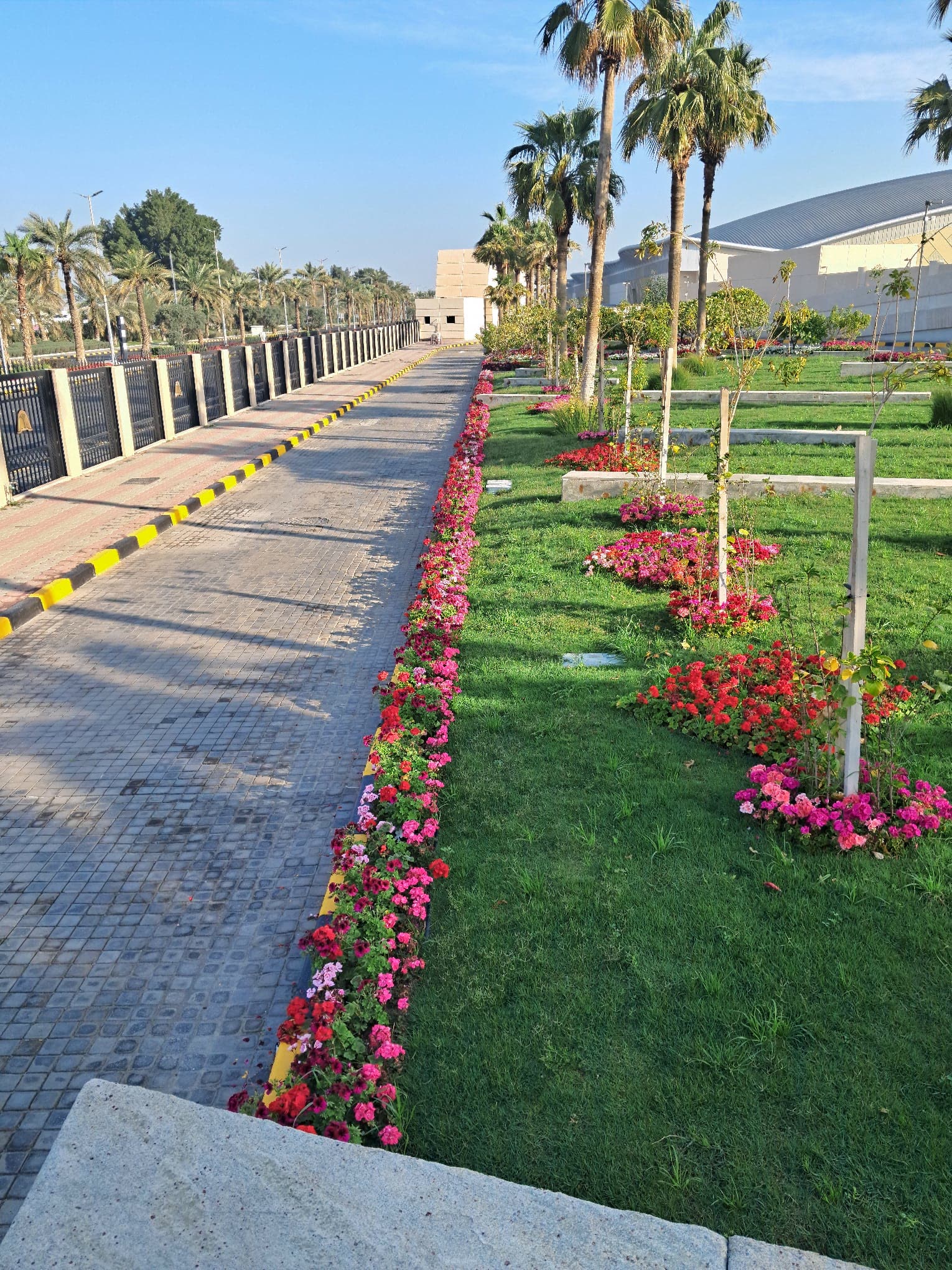 Walkway bordered by flower beds and young trees