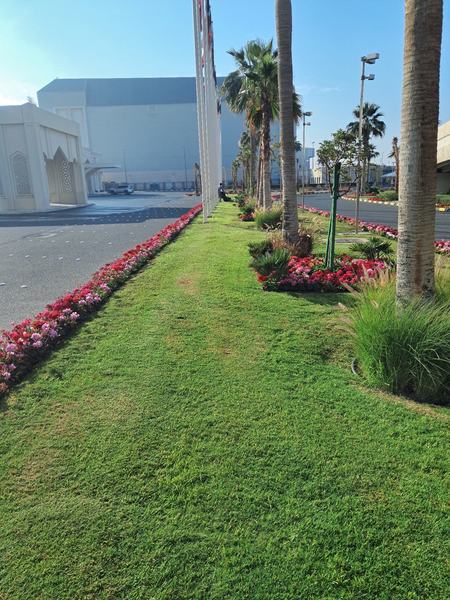 Manicured lawn edged with flower borders