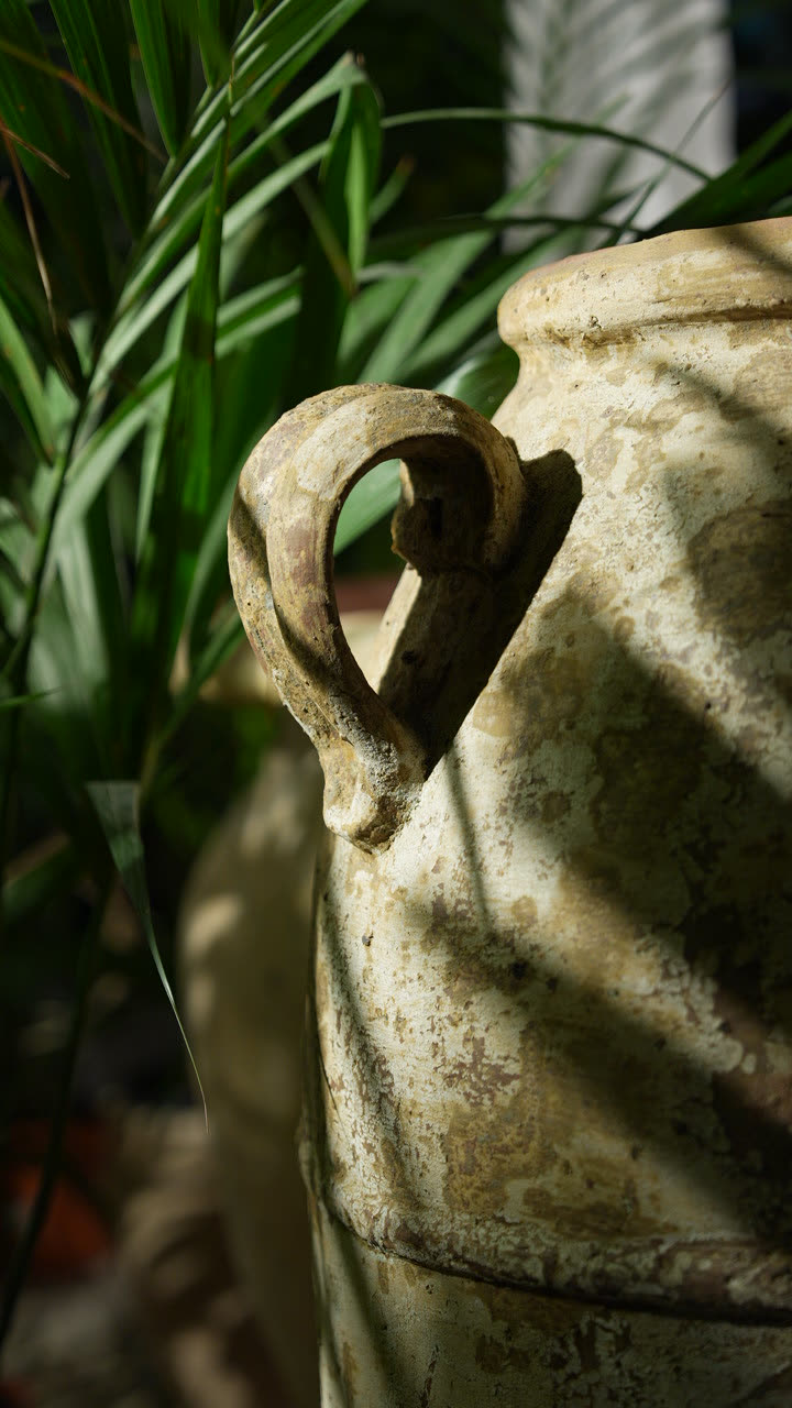 Terracotta urn among palms at the Greenfields showroom