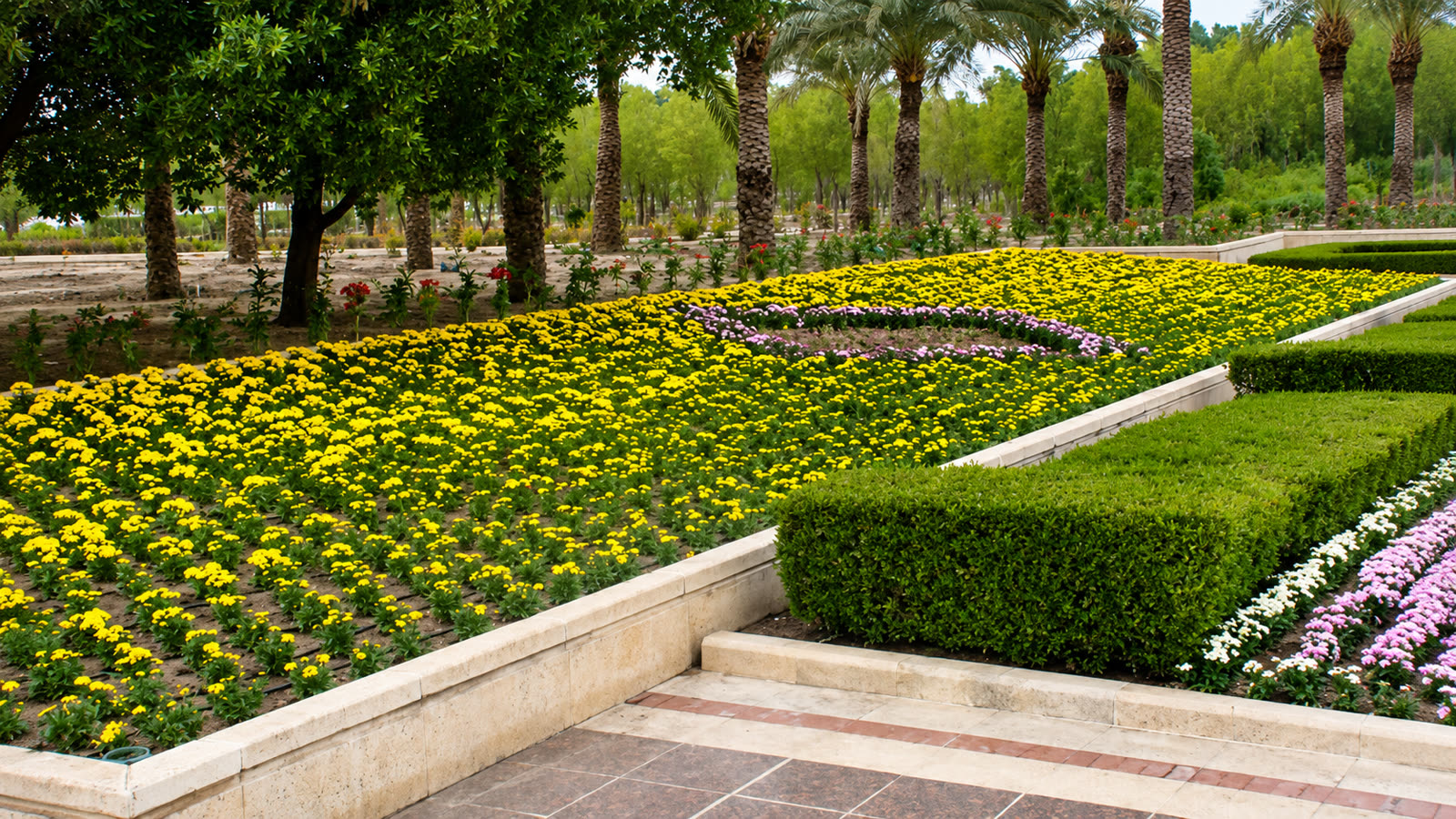 Terraced seasonal flower beds in the palace gardens