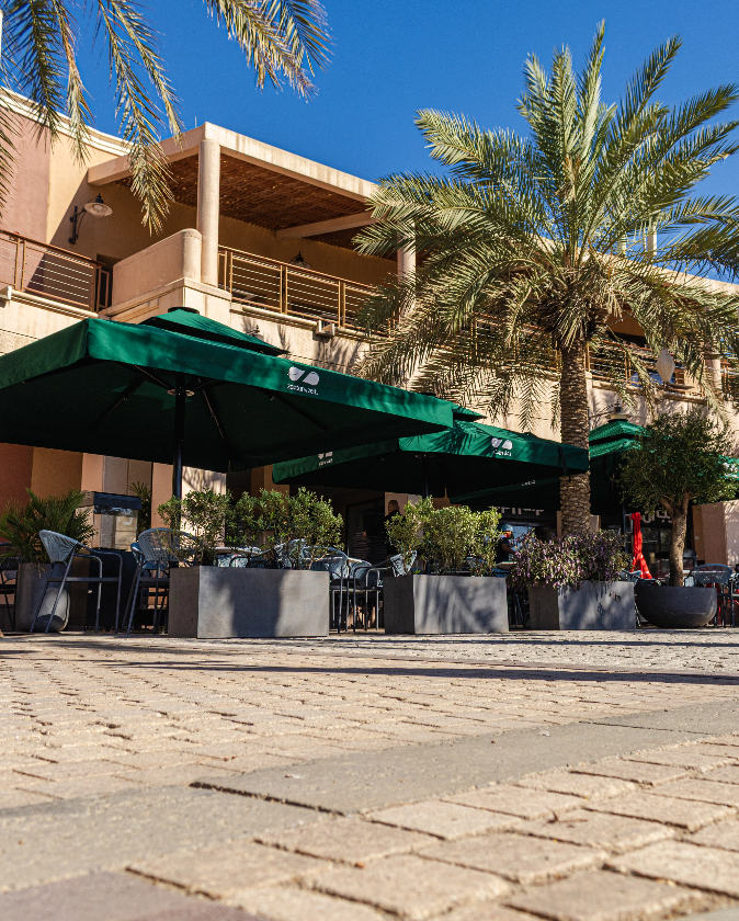 Restaurant patio with palm trees