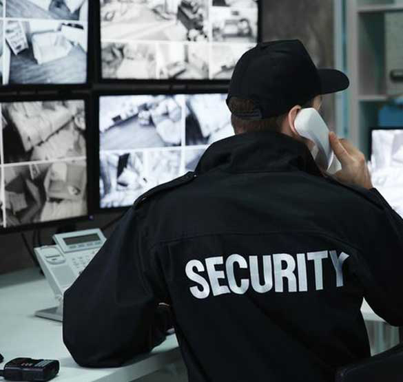 Prestige Security
