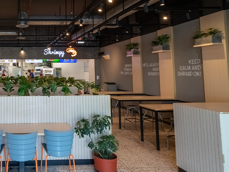 Shrimpy Fitout